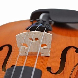 Antonio Lavazza BV1 1/2 Подставка для струн скрипичная, размер 1/2